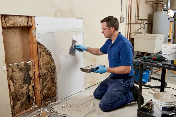 Mold and Drywall Repair Provo