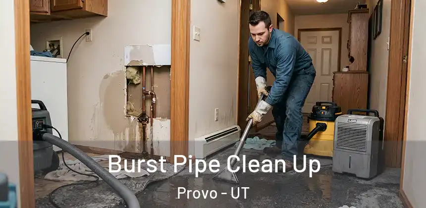  Burst Pipe Clean Up Provo - UT