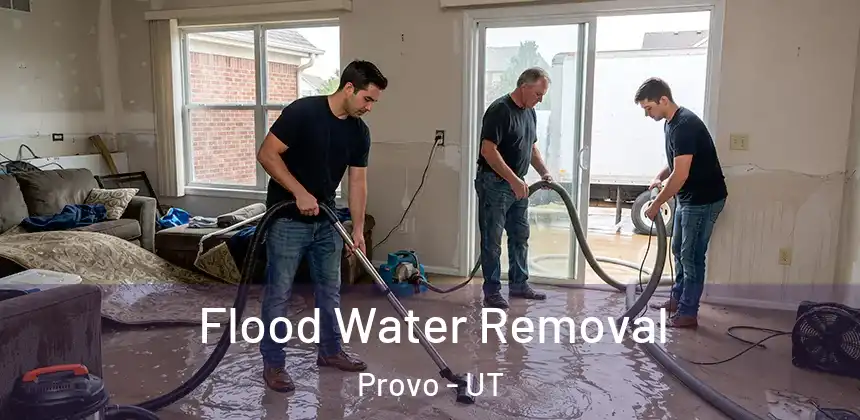  Flood Water Removal Provo - UT