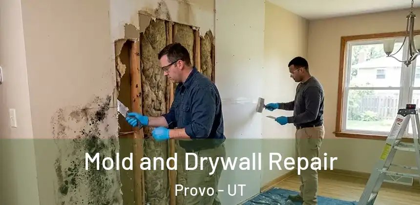 Mold and Drywall Repair Provo - UT