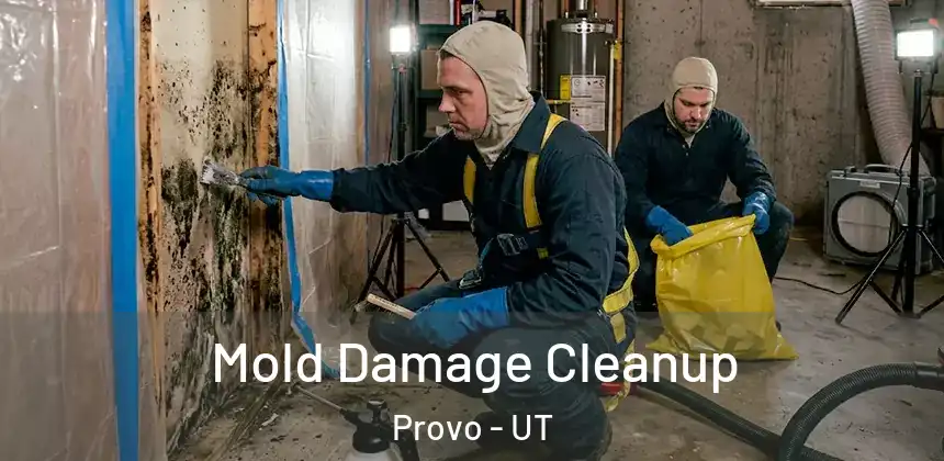 Mold Damage Cleanup Provo - UT