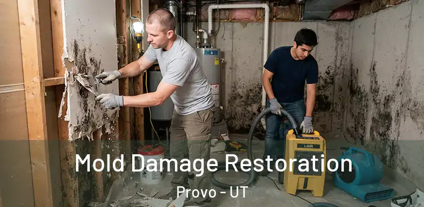Mold Damage Restoration Provo - UT