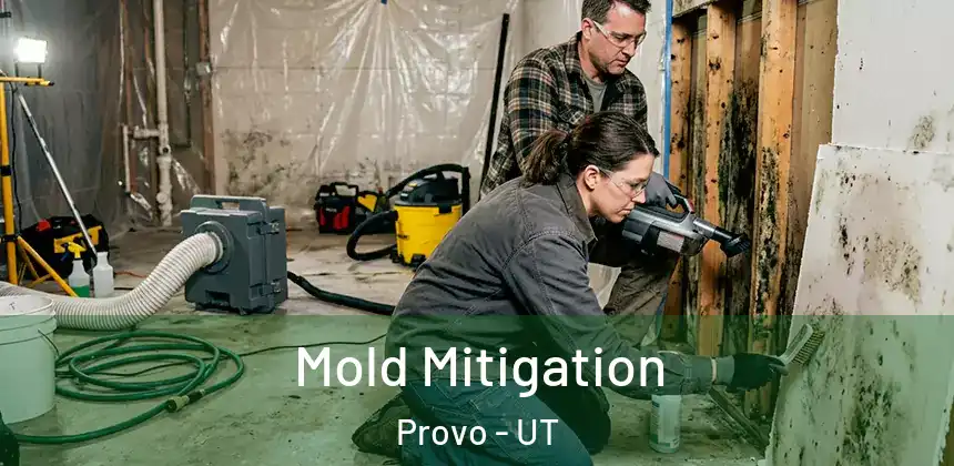 Mold Mitigation Provo - UT