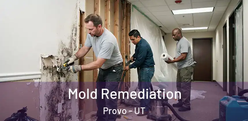 Mold Remediation Provo - UT
