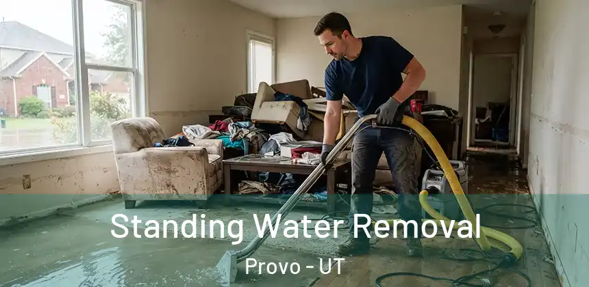 Standing Water Removal Provo - UT