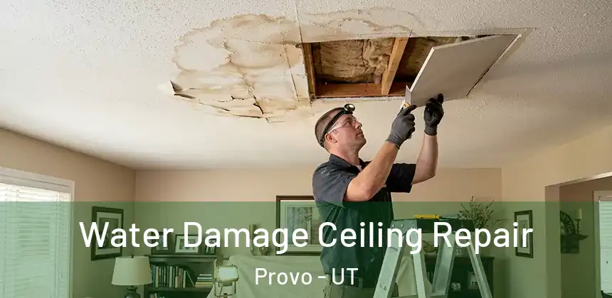  Water Damage Ceiling Repair Provo - UT