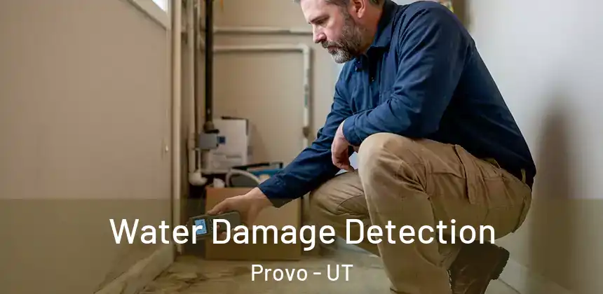 Water Damage Detection Provo - UT