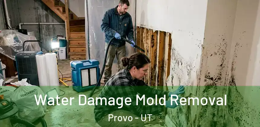  Water Damage Mold Removal Provo - UT