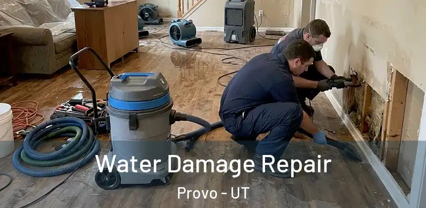  Water Damage Repair Provo - UT