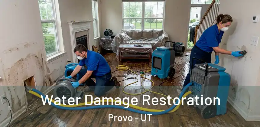  Water Damage Restoration Provo - UT