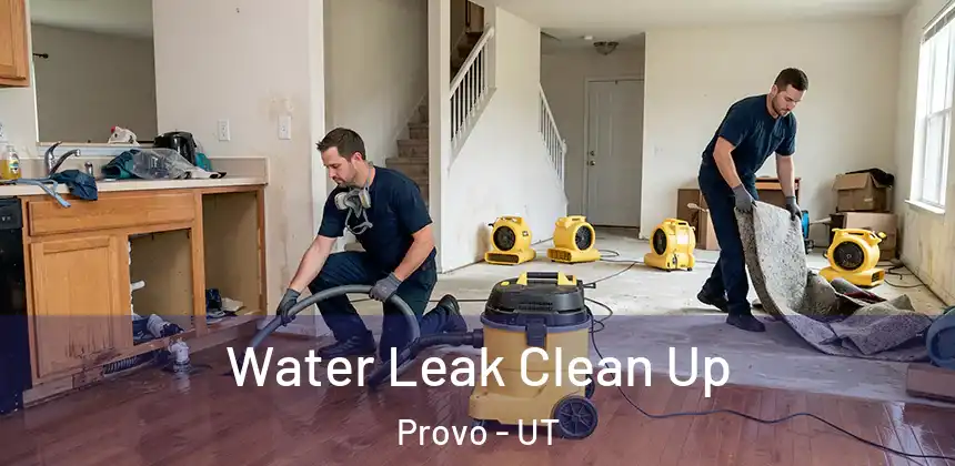  Water Leak Clean Up Provo - UT