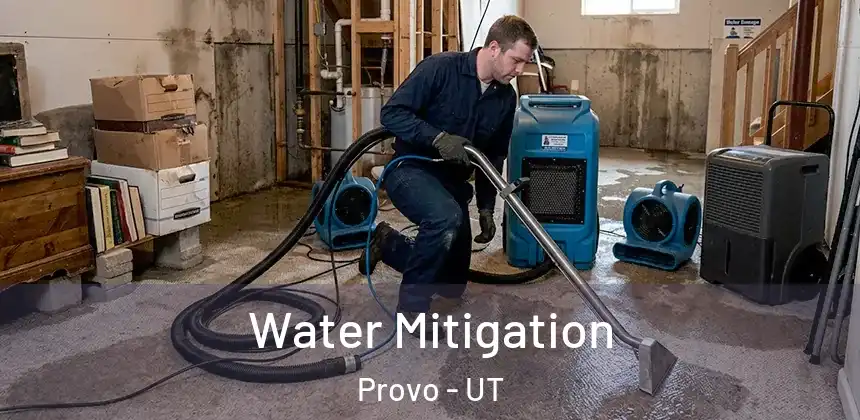 Water Mitigation Provo - UT