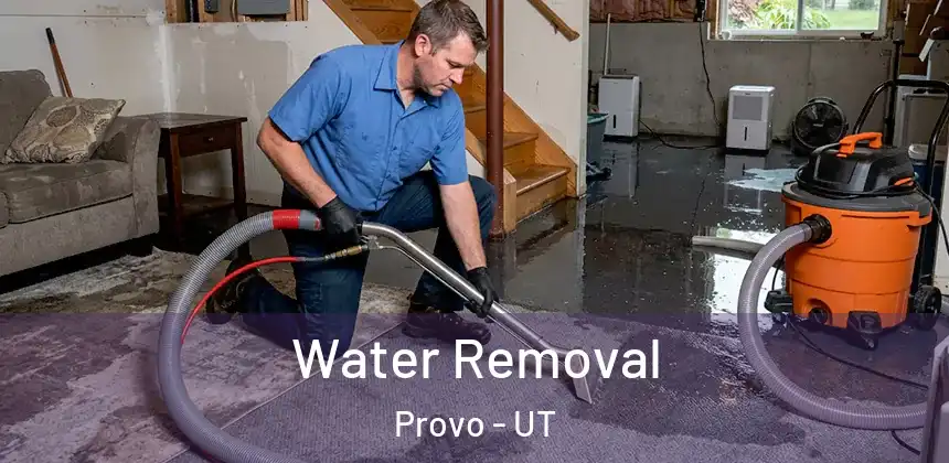 Water Removal Provo - UT