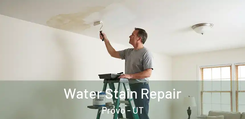  Water Stain Repair Provo - UT